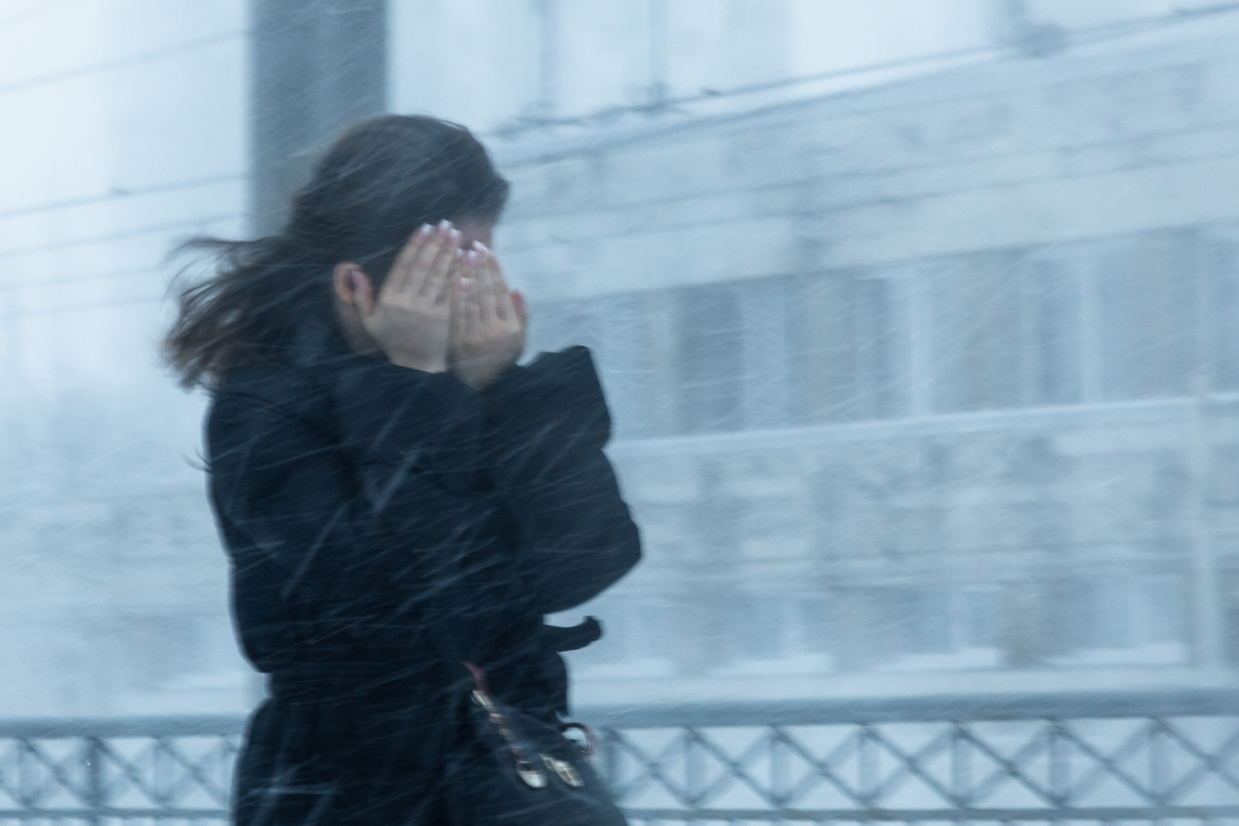 The blizzard, strong wind